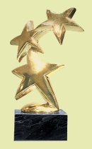 Award of the month